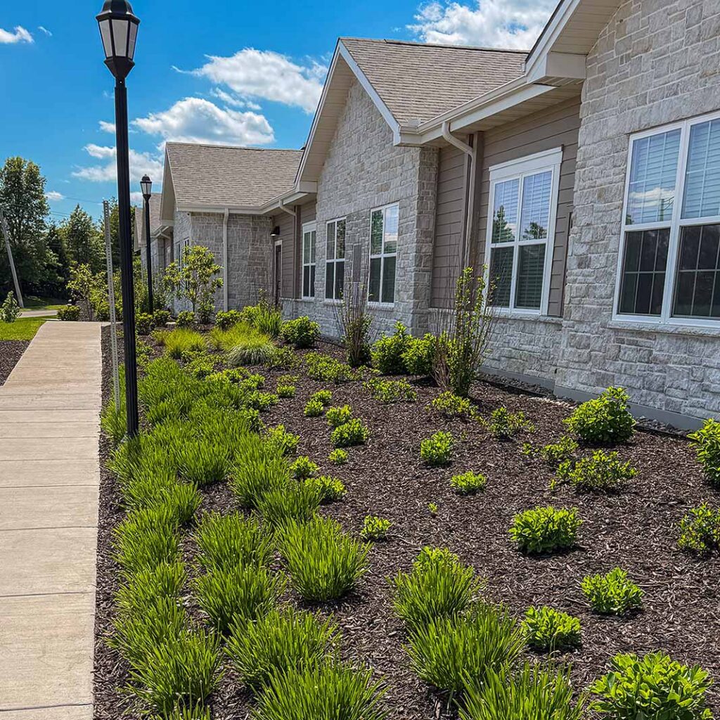A landscaped area full of newly planted foliage.